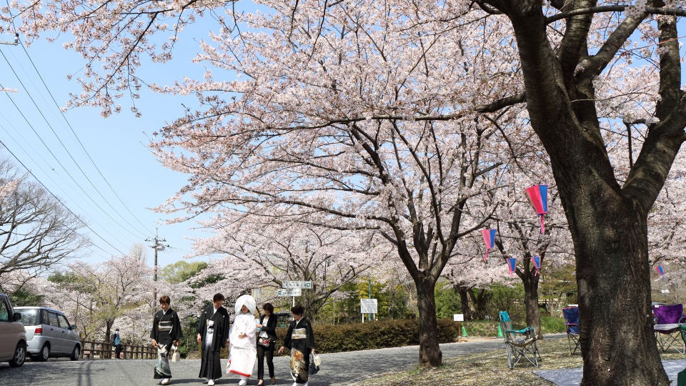 蓮岱館の入口